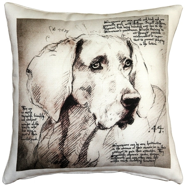 Pillow Decor - Weimaraner 17x17 Dog Pillow Image 1