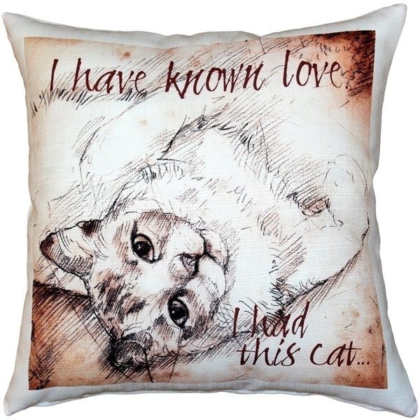 Pillow Decor I Have Known Love Cat Pillow 17x17 Indoor Outdoor Poly Linen Image 1