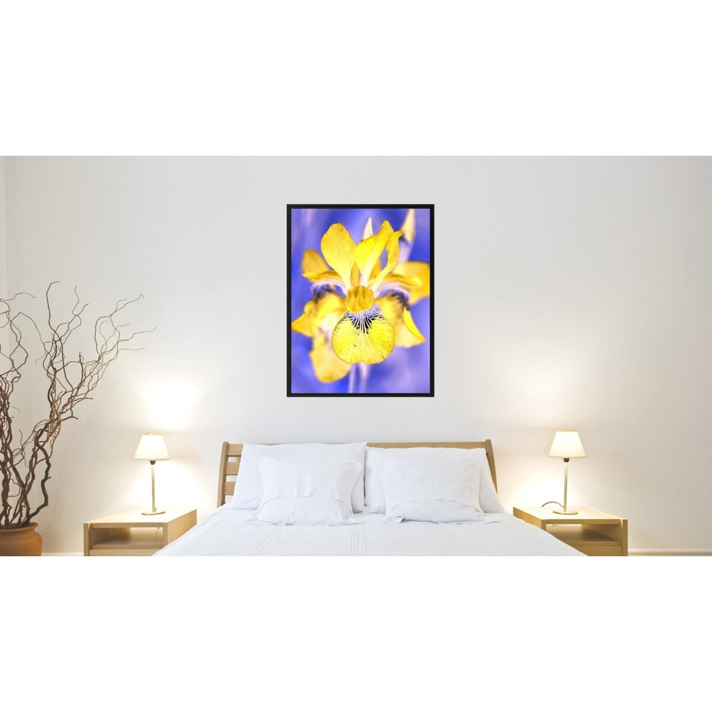 Yellow Iris Flower Framed Canvas Print  Wall Art Image 2