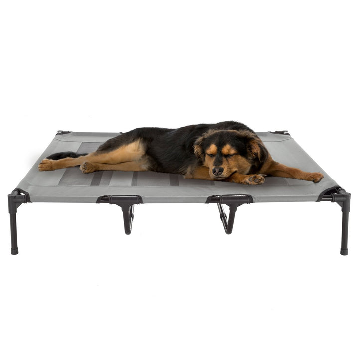 Gray Elevated Pet Bed 48x35.5in Portable Raised Cot with Non-Slip Feet Image 8