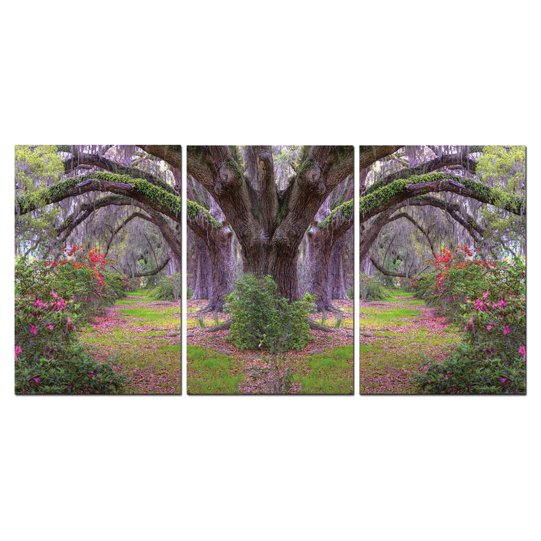 Lavender Cherry 3 piece Wrapped Canvas Wall Art Print 20x40.5 inches Image 2