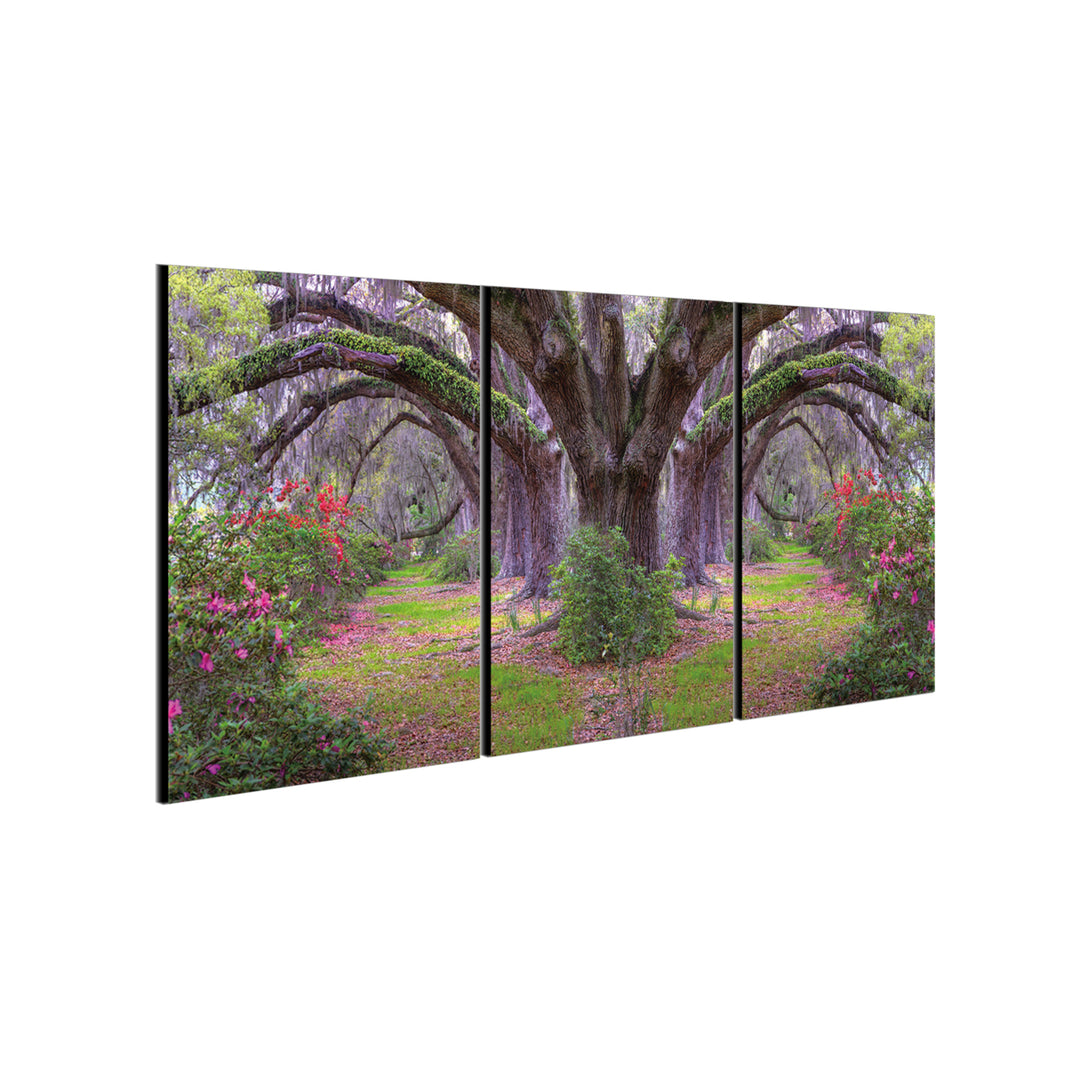 Lavender Cherry 3 piece Wrapped Canvas Wall Art Print 20x40.5 inches Image 3