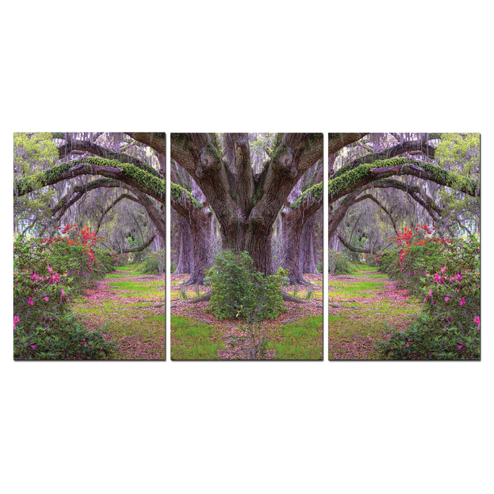 Lavender Cherry 3 piece Wrapped Canvas Wall Art Print 27.5x60 inches Image 2