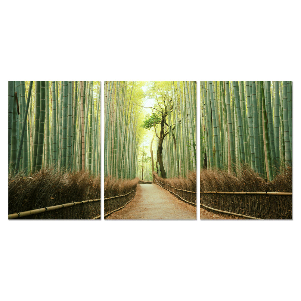 Pine Road 3 piece Wrapped Canvas Wall Art Print 27.5x60 inches Image 2