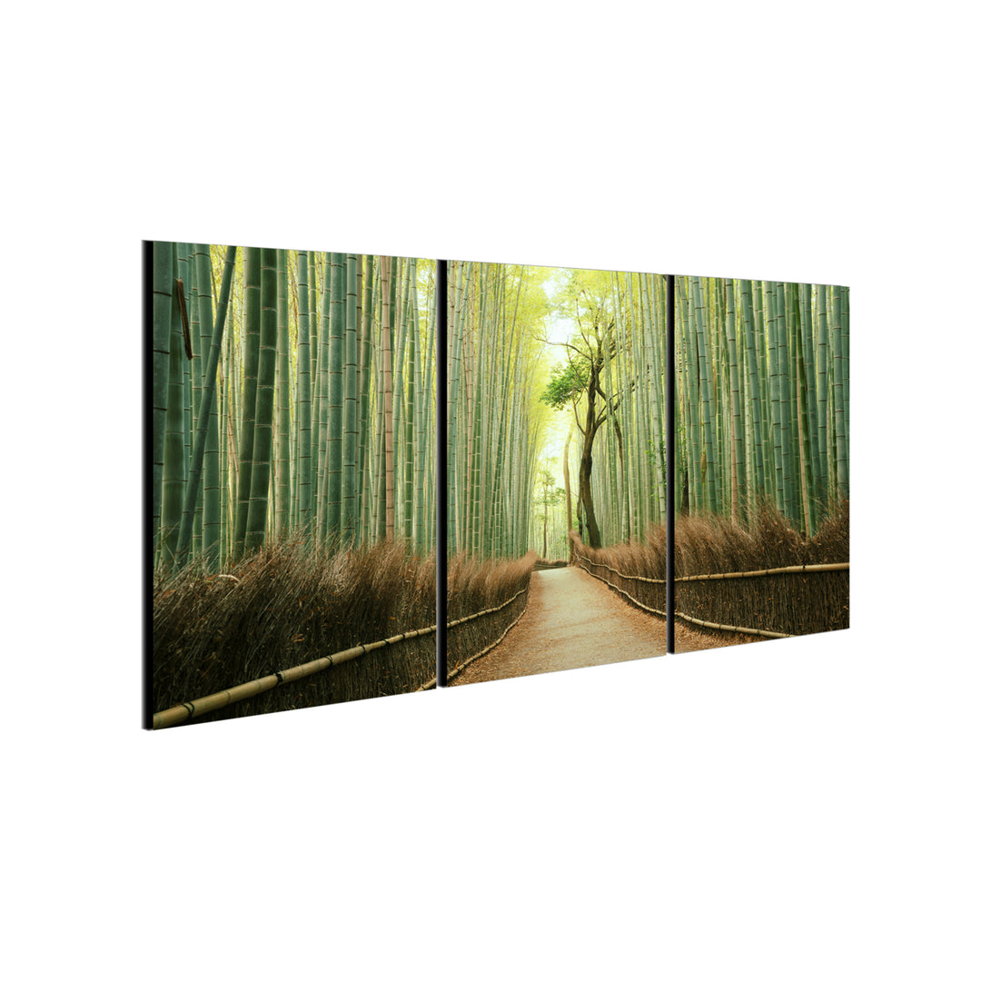 Pine Road 3 piece Wrapped Canvas Wall Art Print 27.5x60 inches Image 3