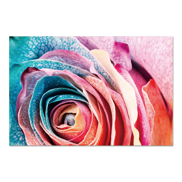 Rosalia Wrapped Canvas Wall Art Print 47x31.5 inches Image 2