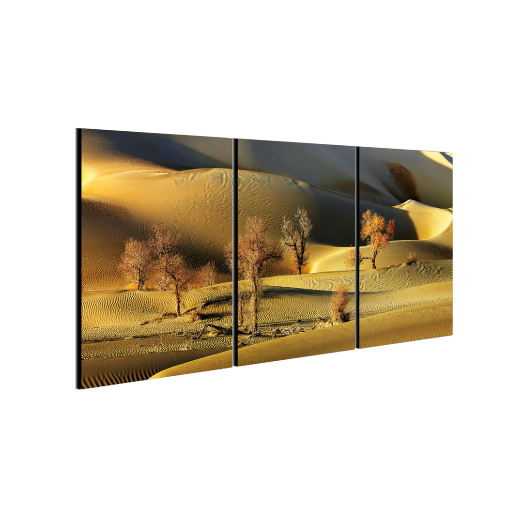 Golden Desert 3 piece Wrapped Canvas Wall Art Print 20x40.5 inches Image 3