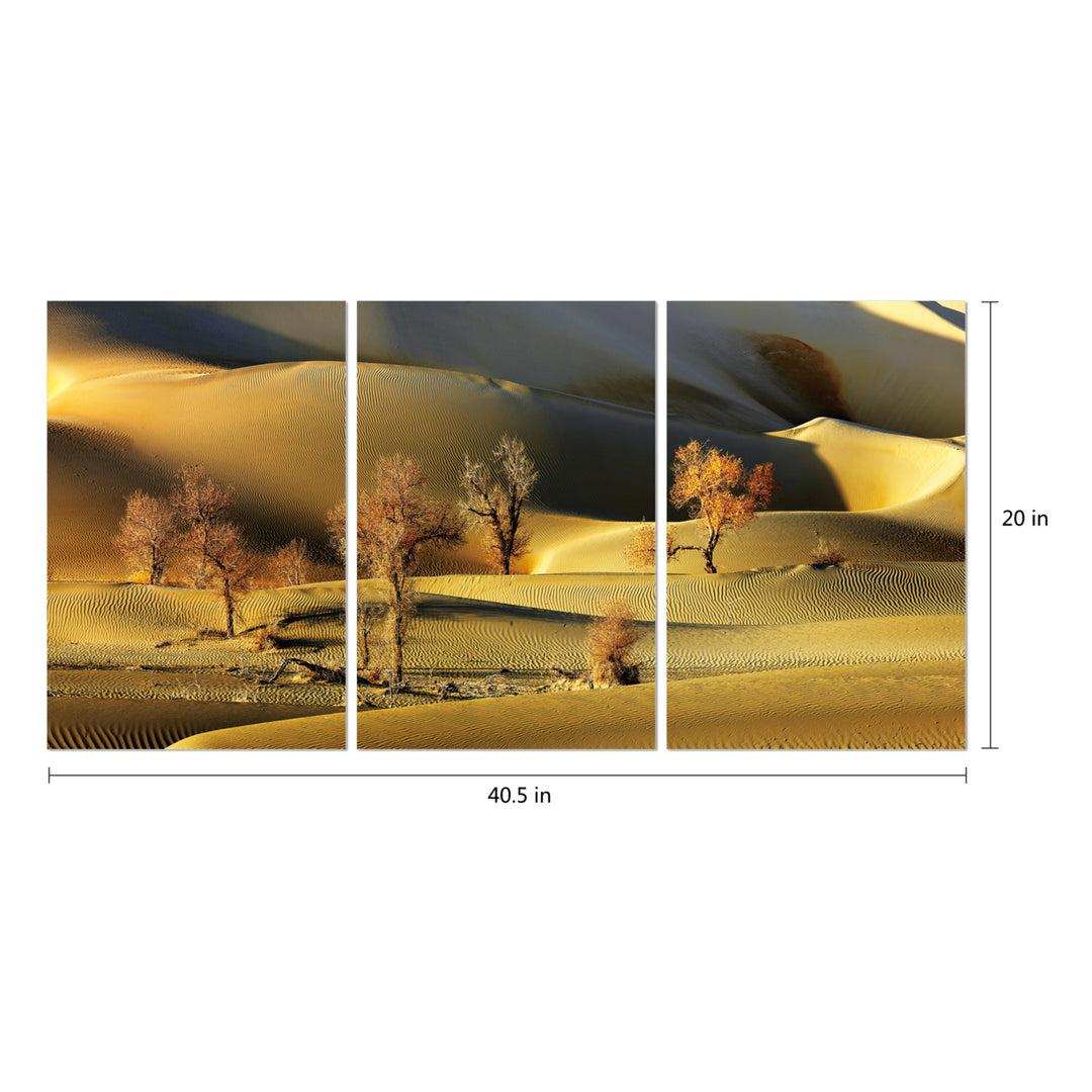 Golden Desert 3 piece Wrapped Canvas Wall Art Print 20x40.5 inches Image 4