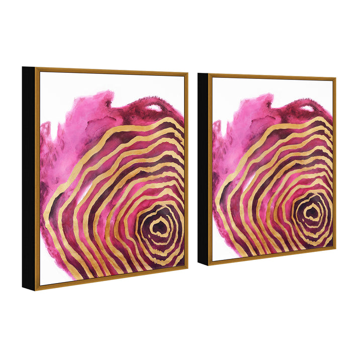 Golden Petal 2 piece Framed Canvas Painting 20x31 inches Image 3