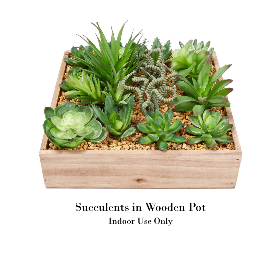 Faux Succulents Assorted Lifelike Plastic Greenery Arrangement with 10 Inch Decorative Wooden Box Image 3
