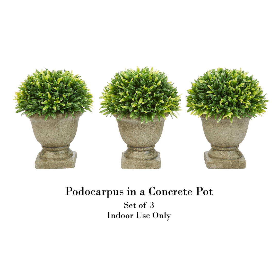 Set of 3 Artificial Podocarpus Grass Plant in Concrete Pot 7.5 Inch Decorative Faux Indoor Pure Garden Image 3