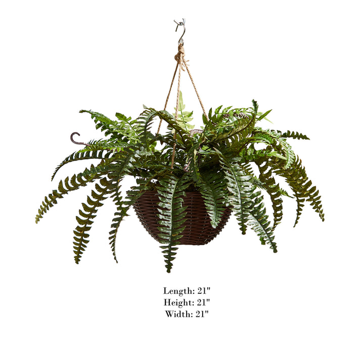 Faux Boston Fern  Hanging Natural and Lifelike Artificial Arrangement and Imitation Greenery with Basket Image 2