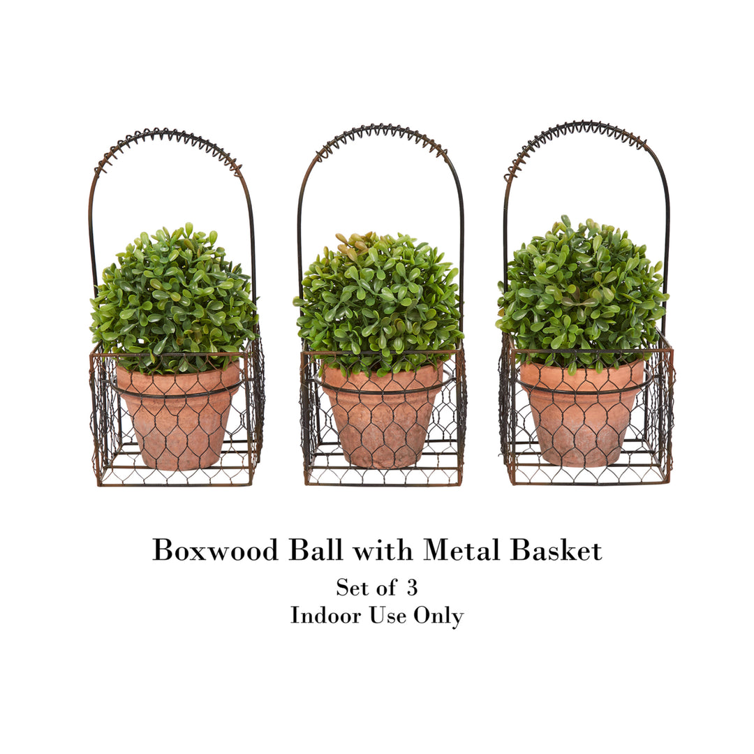 Faux Boxwood 3 Matching Realistic 9.5 Inch Tall Topiary Arrangements in Decorative Metal Baskets (Set of 3) Image 3
