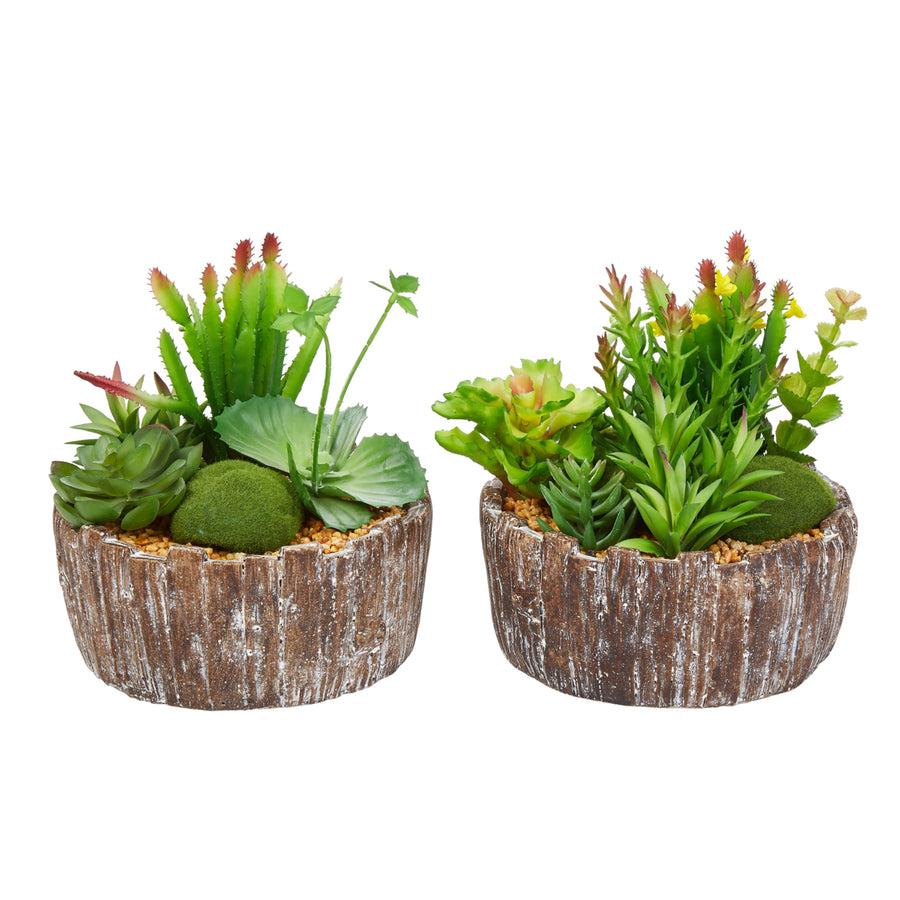 Set of 2 Faux Succulents Assorted 8" Tall - Greenery Arrangements in Decorative Concrete Planters Image 1