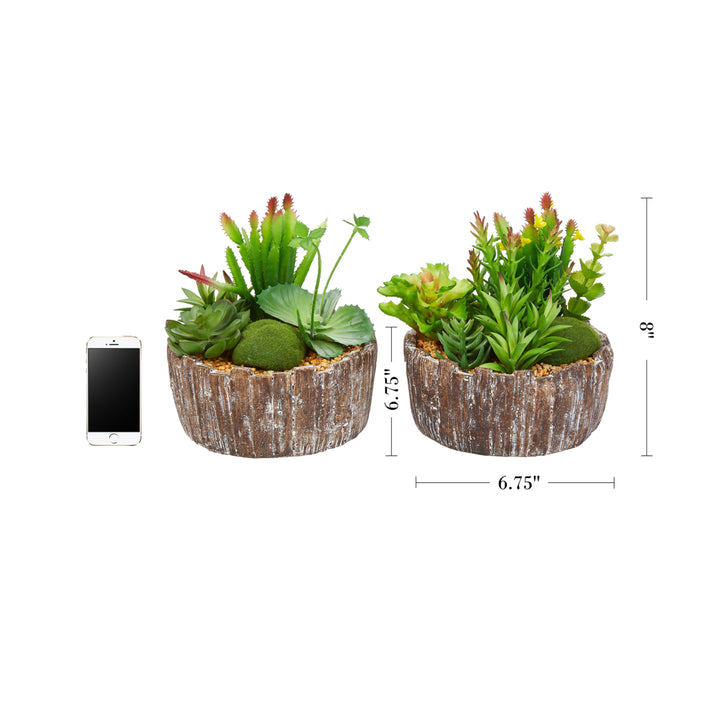Set of 2 Faux Succulents Assorted 8" Tall - Greenery Arrangements in Decorative Concrete Planters Image 2