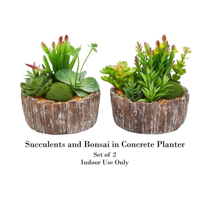 Set of 2 Faux Succulents Assorted 8" Tall - Greenery Arrangements in Decorative Concrete Planters Image 3