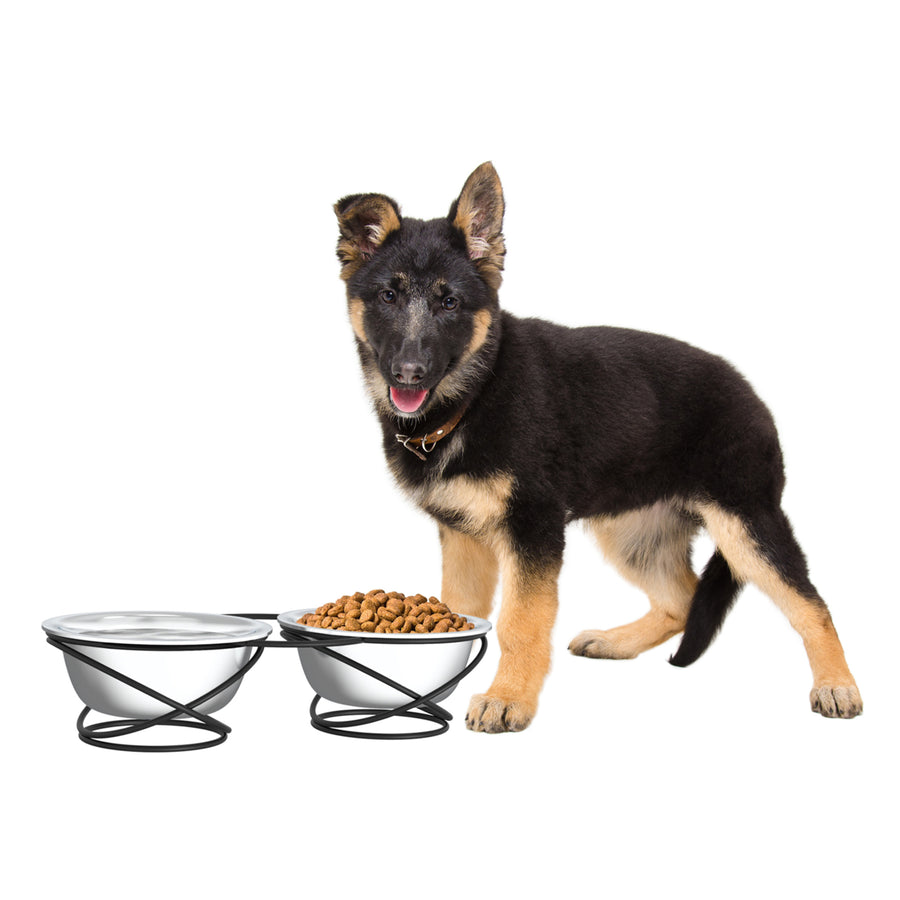 Stainless Steel Raised Food and Water Bowls with Decorative 3.5 Inch Tall Stand for Dogs and Cats-2 Bowls, 40 Oz Image 1