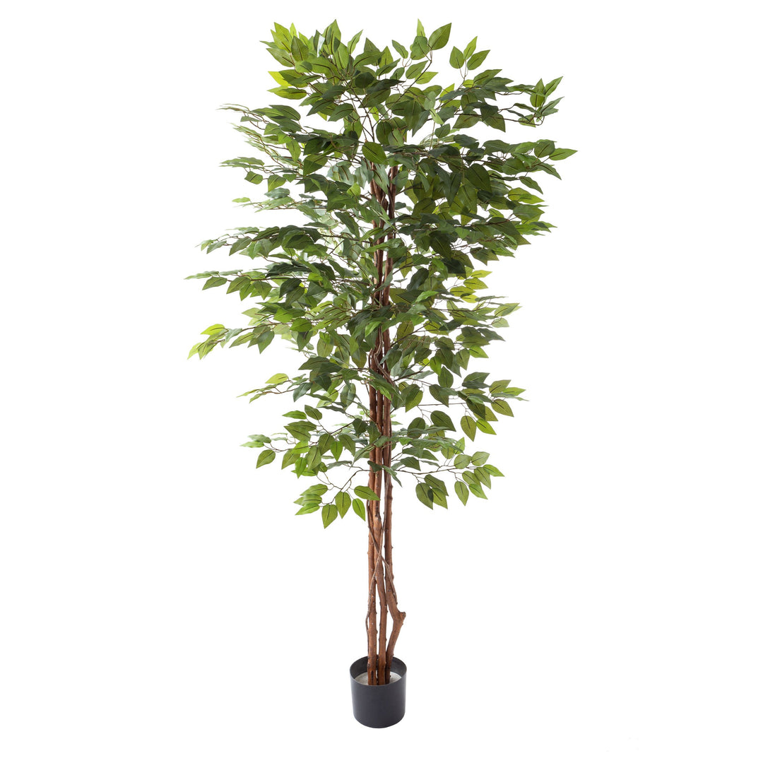 80 Inch Artificial Ficus Tree House Accent Plant in 6 Inch Pot Many Leaves Indoor Image 1