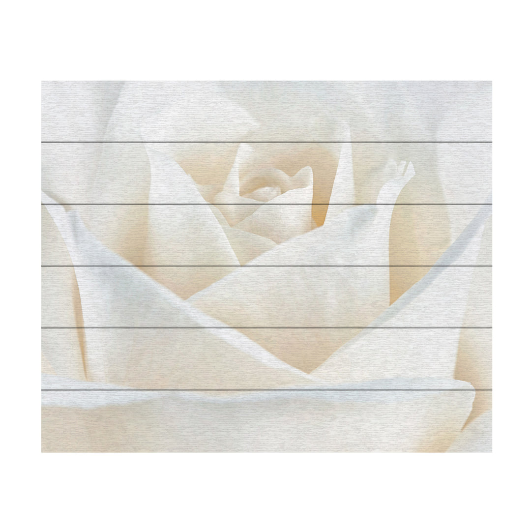 Wooden Slat Art 18 x 22 Inches Titled Pure White Rose Ready to Hang Picture Image 2