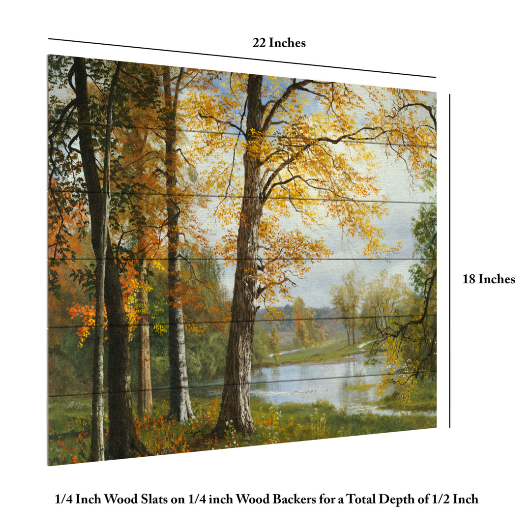 Wooden Slat Art 18 x 22 Inches Titled A Quiet Lake Ready to Hang Picture Image 6