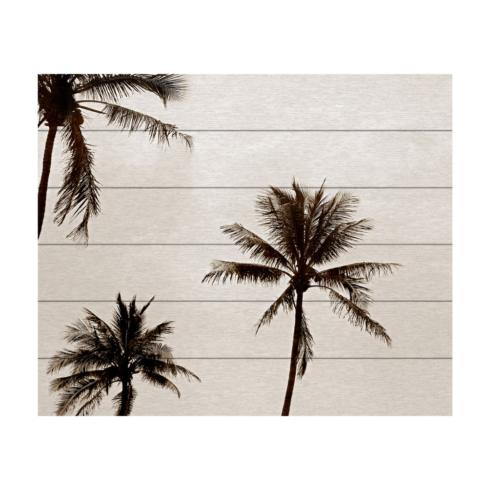 Wooden Slat Art 18 x 22 Inches Titled Black and White Palms Ready to Hang  Picture Image 2