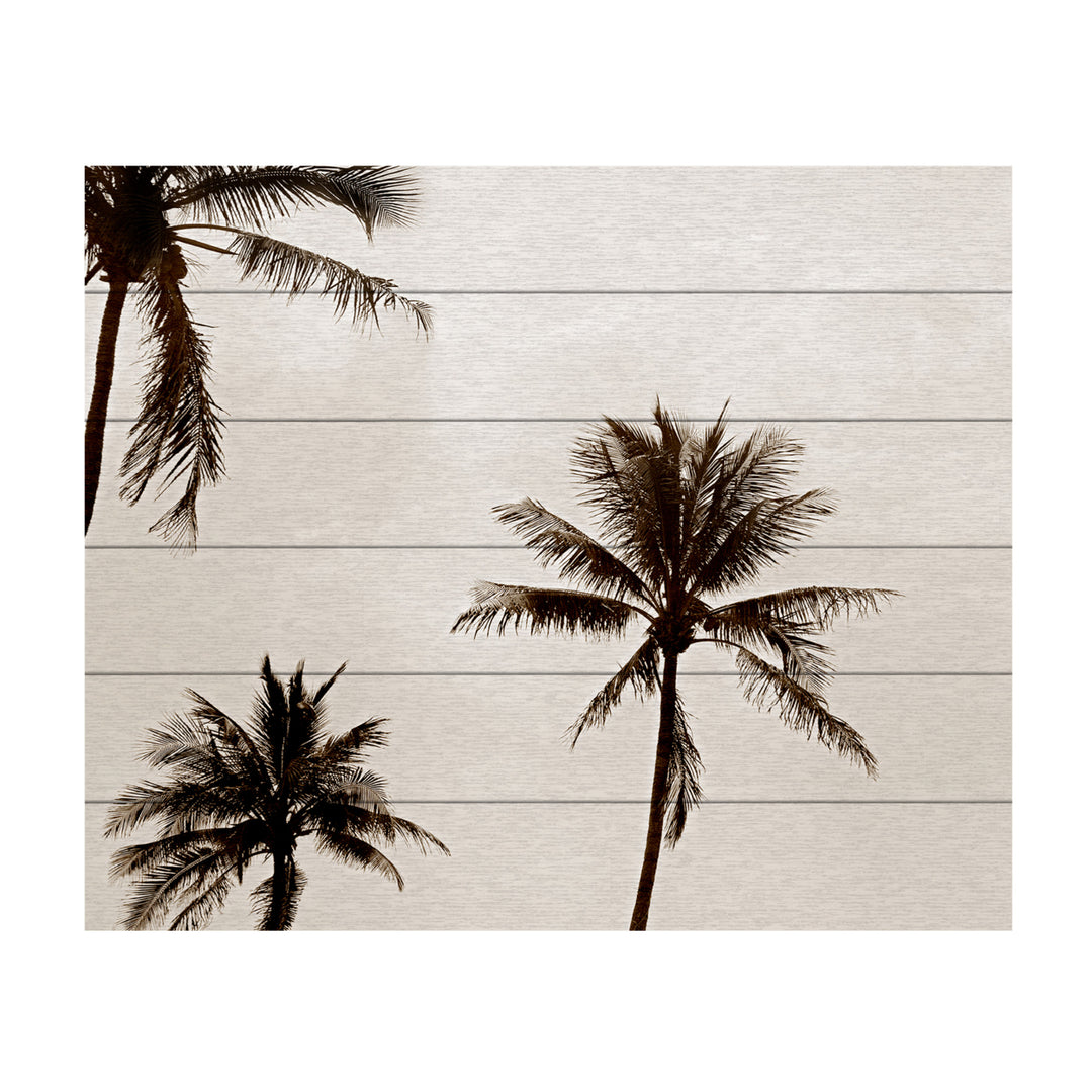 Wooden Slat Art 18 x 22 Inches Titled Black and White Palms Ready to Hang Picture Image 2