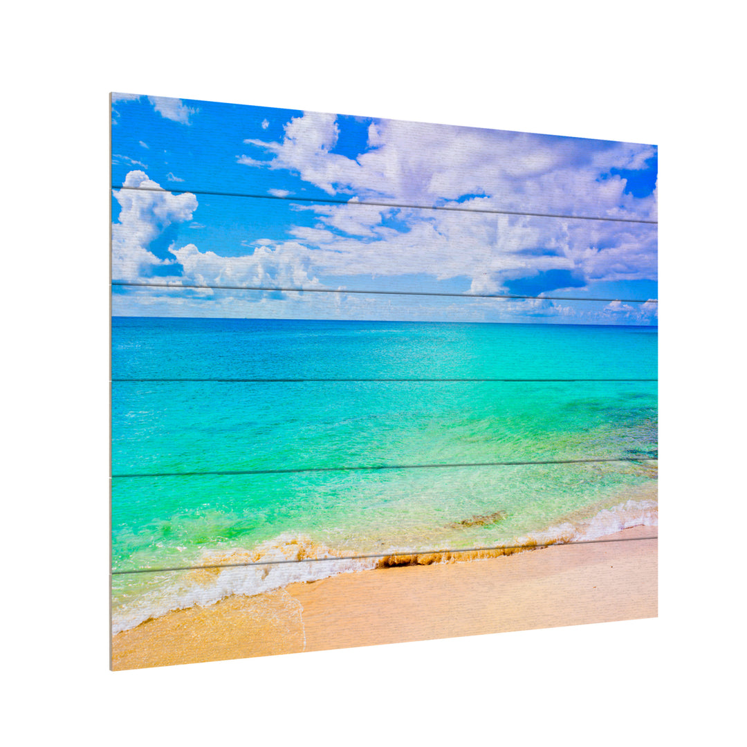 Wooden Slat Art 18 x 22 Inches Titled Maho Beach Ready to Hang Picture Image 3