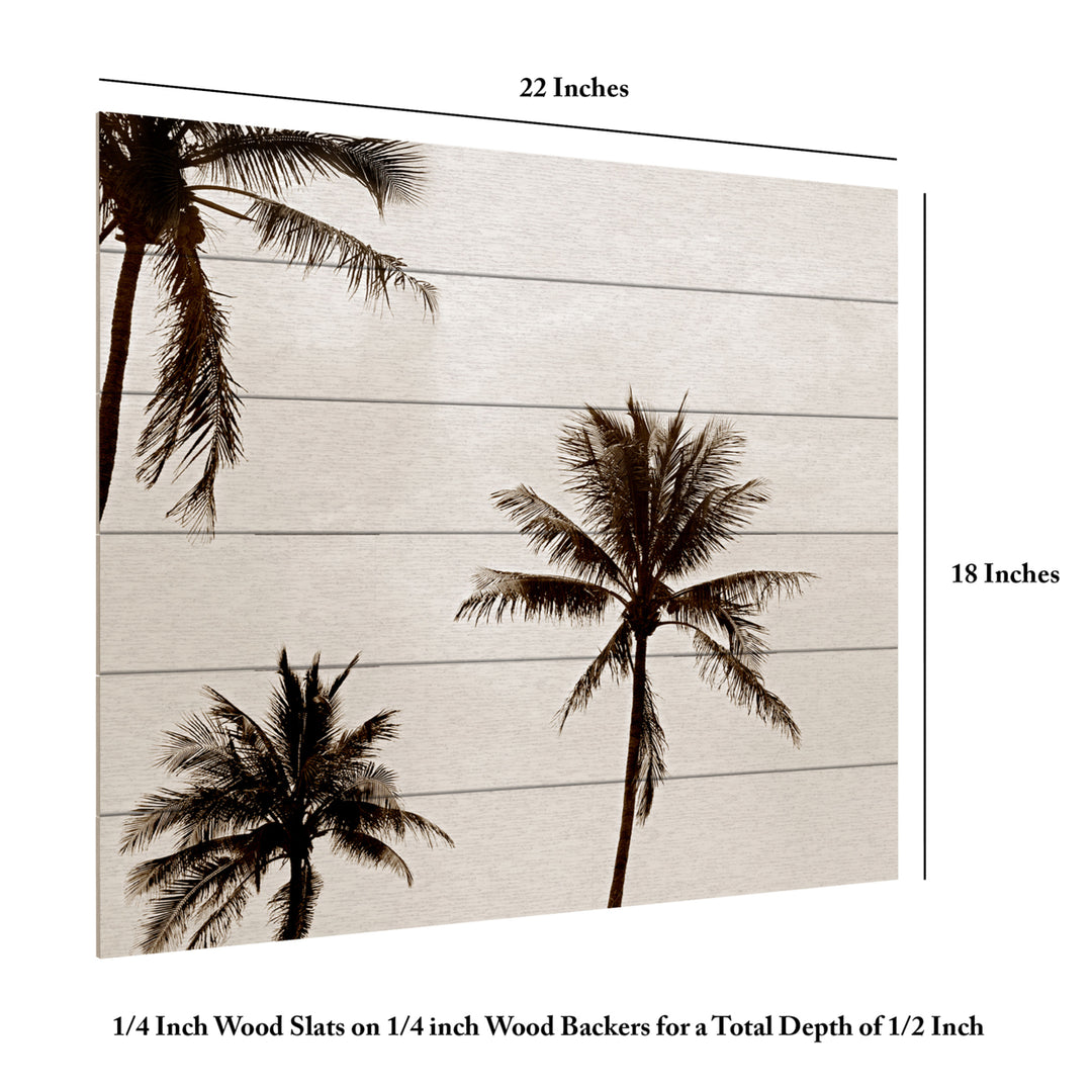 Wooden Slat Art 18 x 22 Inches Titled Black and White Palms Ready to Hang Picture Image 6