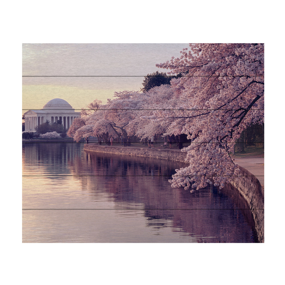 Wooden Slat Art 18 x 22 Inches Titled Cherry Blossoms Jefferson Memorial Ready to Hang  Picture Image 2