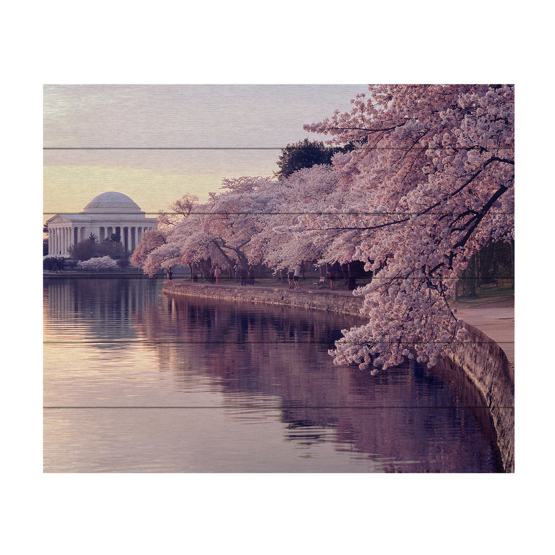 Wooden Slat Art 18 x 22 Inches Titled Cherry Blossoms Jefferson Memorial Ready to Hang Picture Image 2