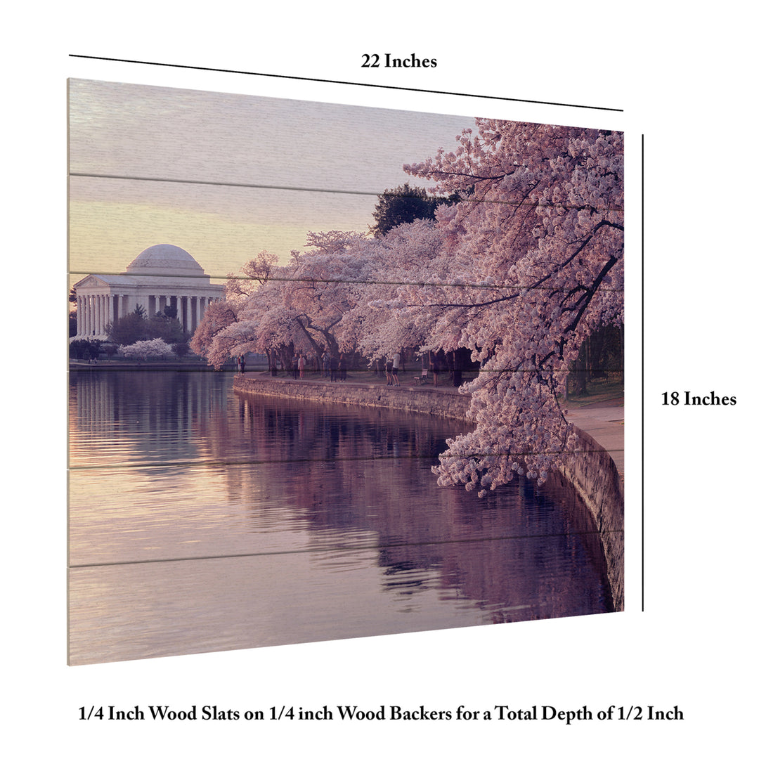 Wooden Slat Art 18 x 22 Inches Titled Cherry Blossoms Jefferson Memorial Ready to Hang Picture Image 6