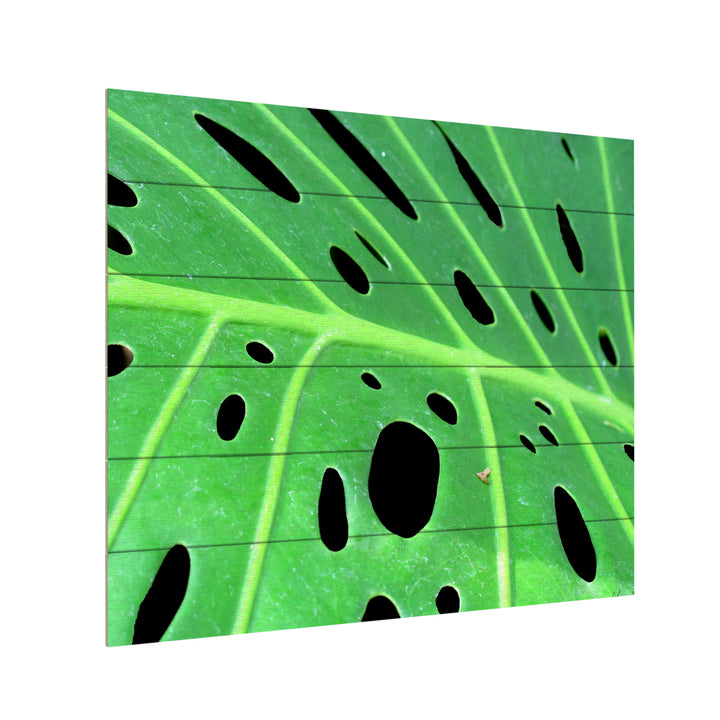 Wooden Slat Art 18 x 22 Inches Titled Tropical Leaf Ready to Hang Picture Image 3