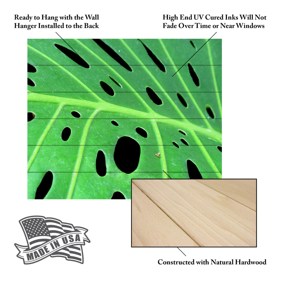 Wooden Slat Art 18 x 22 Inches Titled Tropical Leaf Ready to Hang Picture Image 5