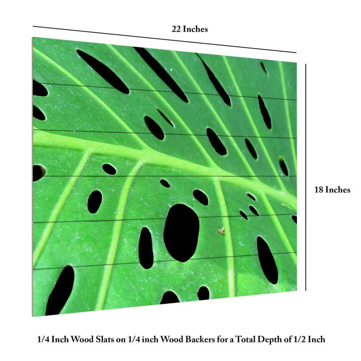 Wooden Slat Art 18 x 22 Inches Titled Tropical Leaf Ready to Hang Picture Image 6