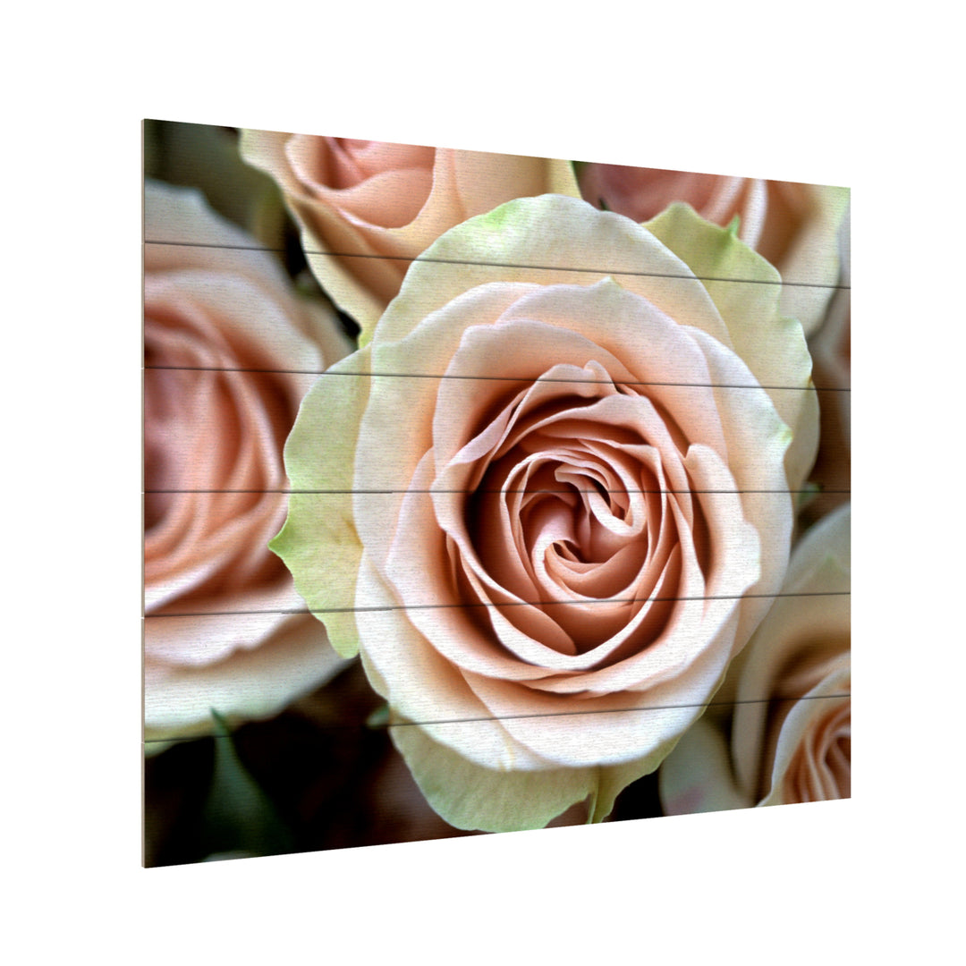 Wooden Slat Art 18 x 22 Inches Titled Pale Pink Roses Ready to Hang Picture Image 3