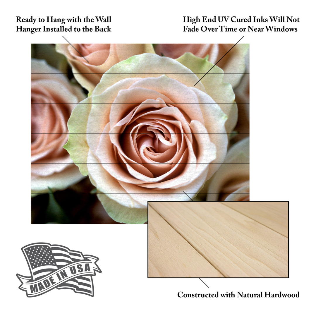 Wooden Slat Art 18 x 22 Inches Titled Pale Pink Roses Ready to Hang Picture Image 5