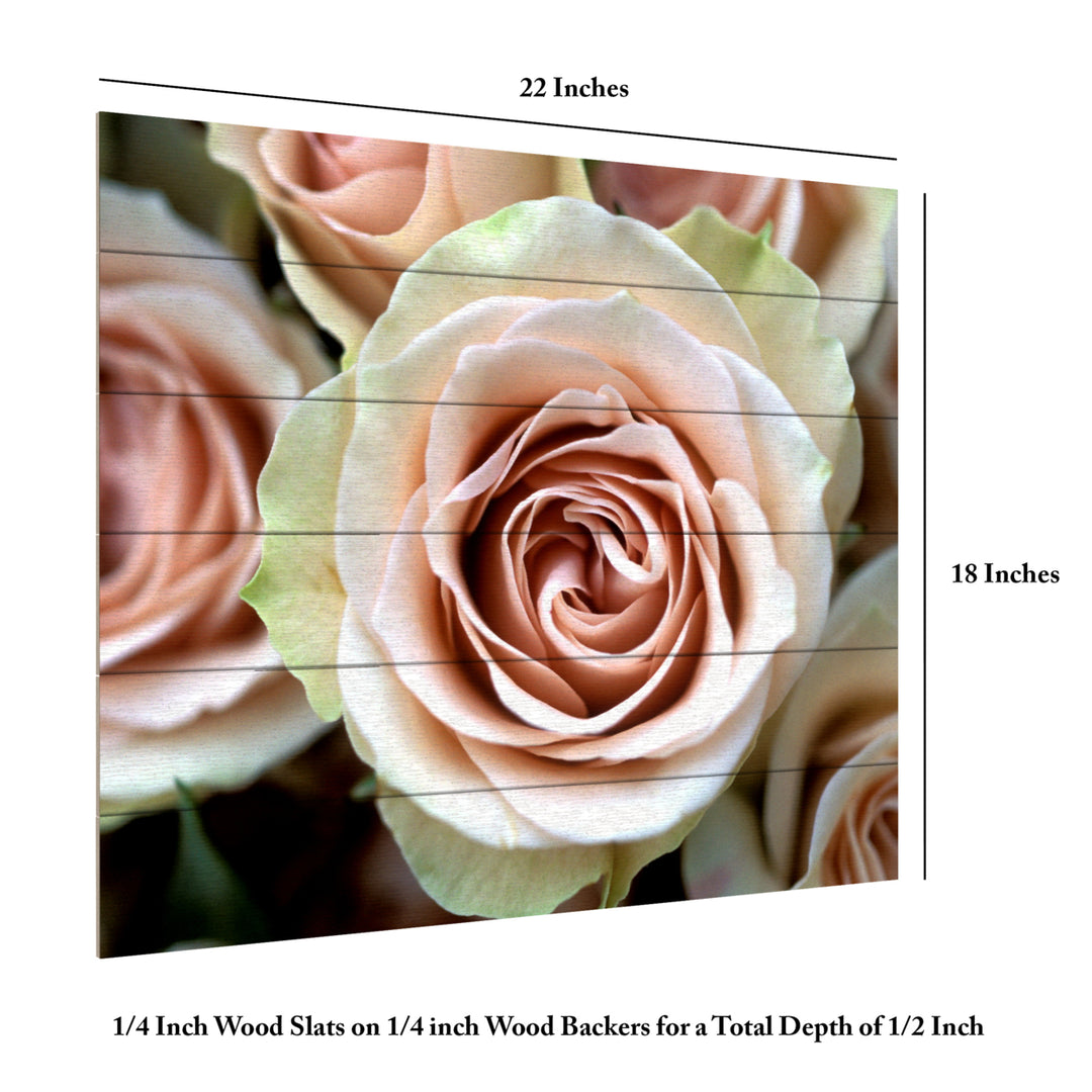 Wooden Slat Art 18 x 22 Inches Titled Pale Pink Roses Ready to Hang Picture Image 6