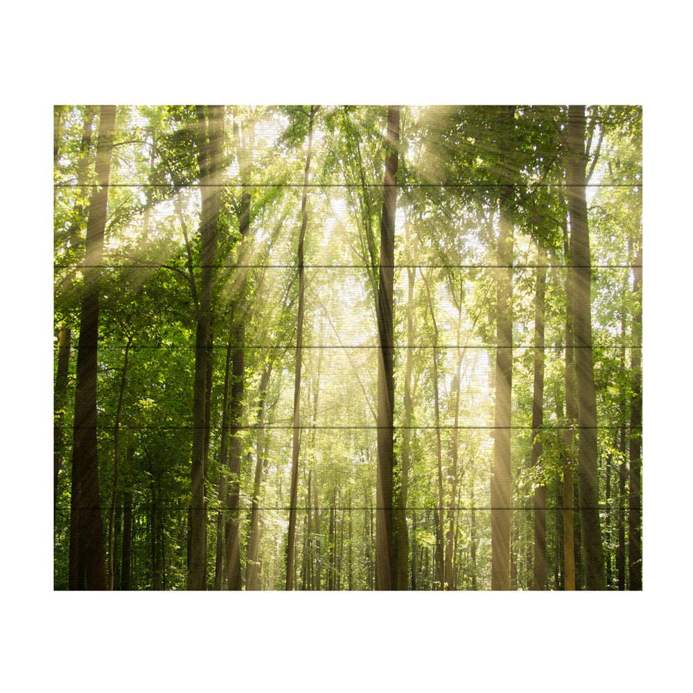 Wooden Slat Art 18 x 22 Inches Titled Sunrays Through Treetops Ready to Hang  Picture Image 2
