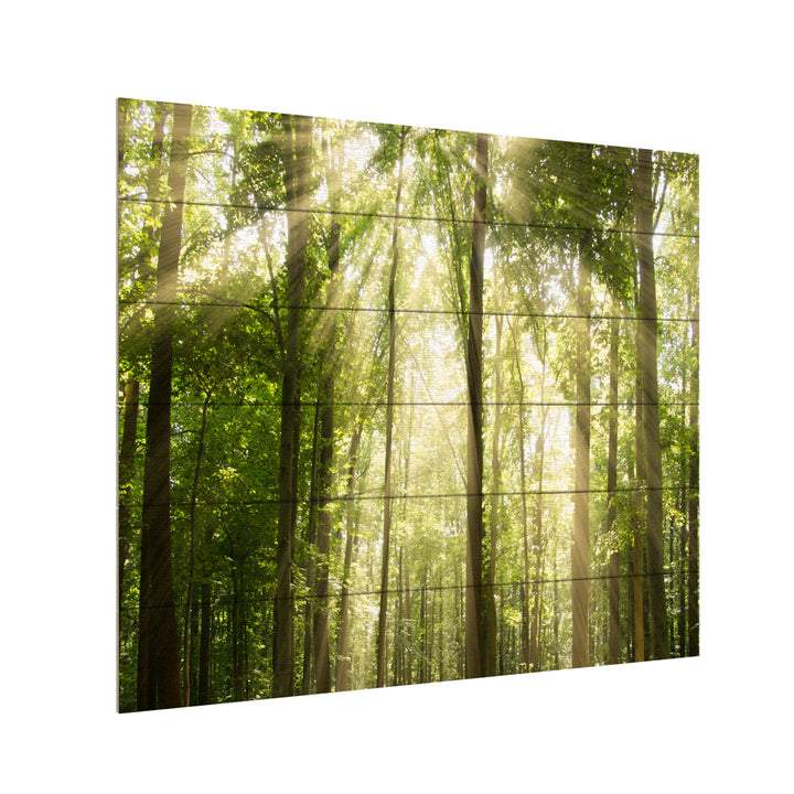 Wooden Slat Art 18 x 22 Inches Titled Sunrays Through Treetops Ready to Hang Picture Image 3