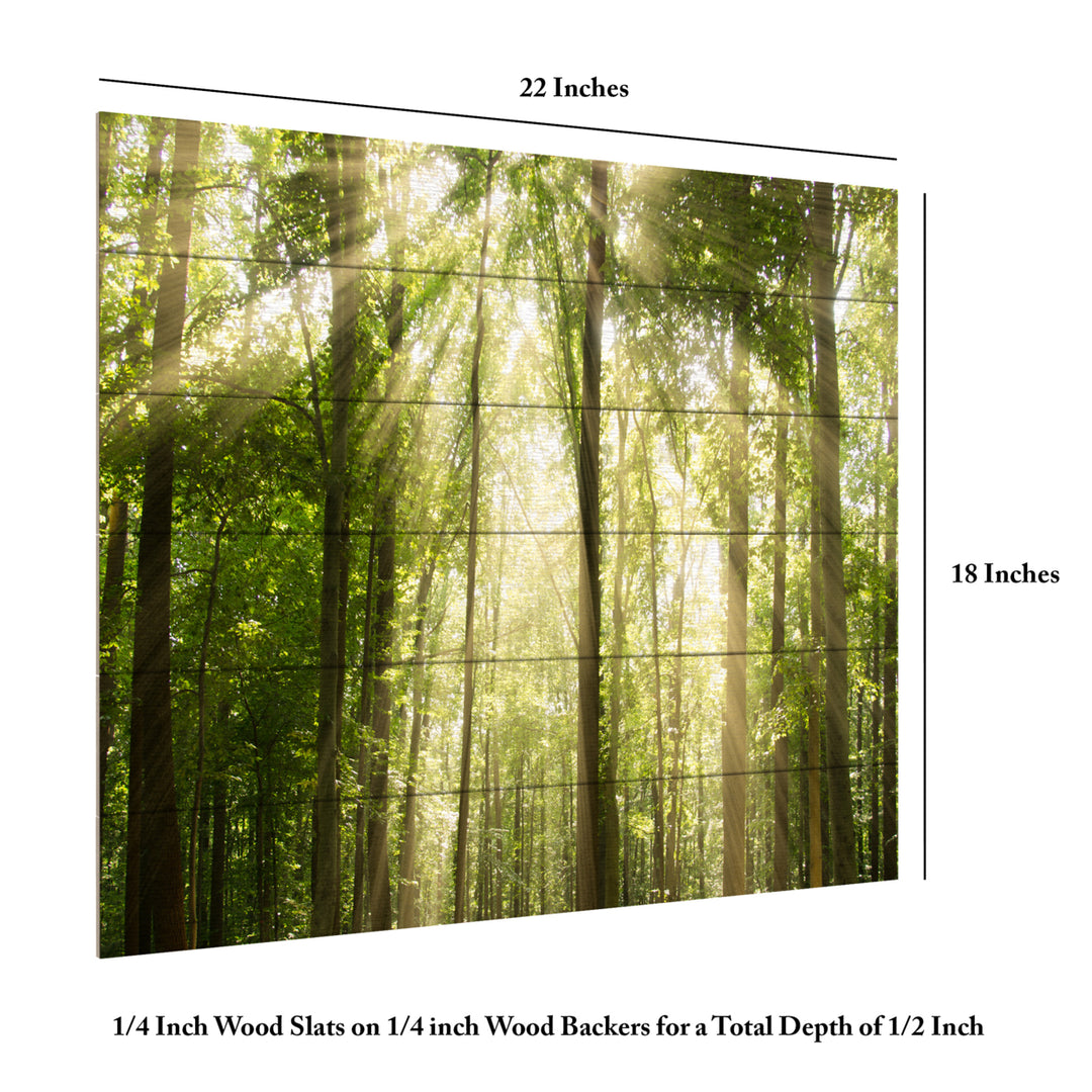 Wooden Slat Art 18 x 22 Inches Titled Sunrays Through Treetops Ready to Hang Picture Image 6