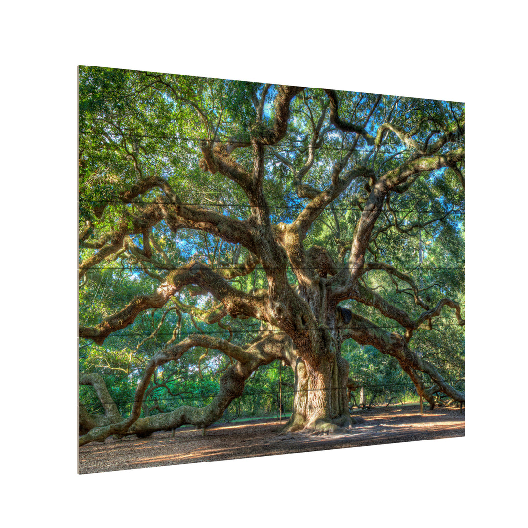 Wooden Slat Art 18 x 22 Inches Titled Angel Oak Charleston Ready to Hang Picture Image 3