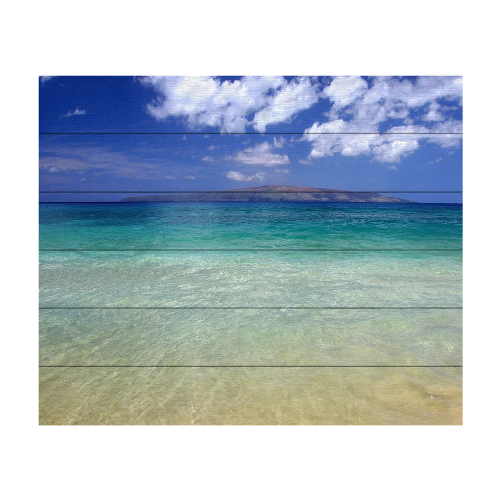 Wooden Slat Art 18 x 22 Inches Titled Hawaii Blue Beach Ready to Hang  Picture Image 2