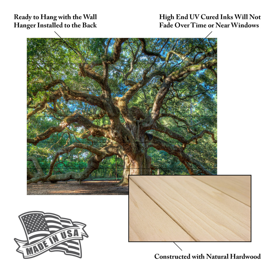 Wooden Slat Art 18 x 22 Inches Titled Angel Oak Charleston Ready to Hang Picture Image 5