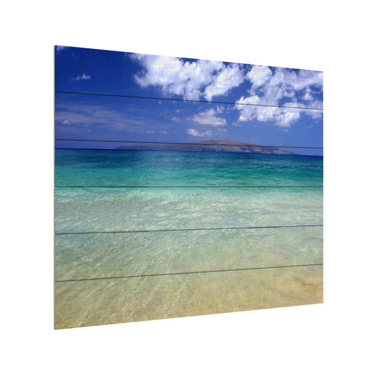 Wooden Slat Art 18 x 22 Inches Titled Hawaii Blue Beach Ready to Hang Picture Image 3