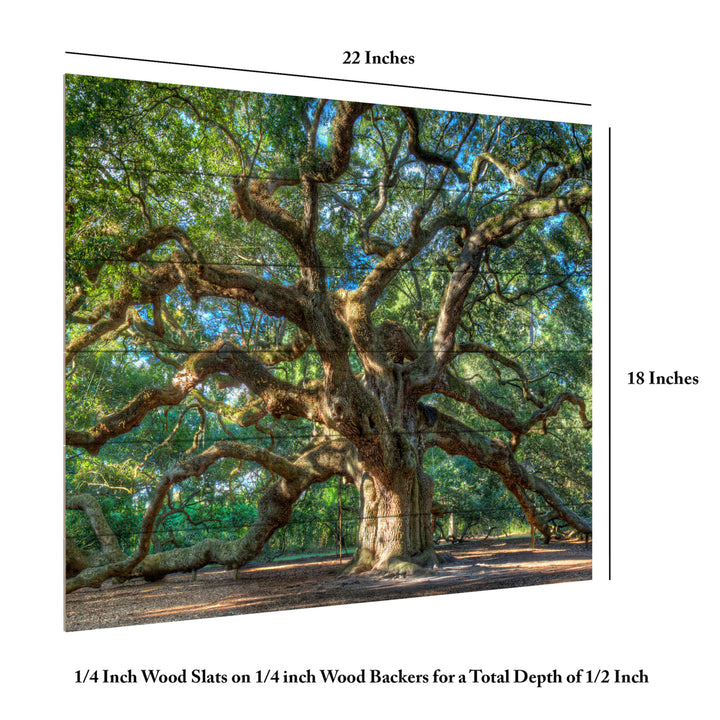 Wooden Slat Art 18 x 22 Inches Titled Angel Oak Charleston Ready to Hang Picture Image 6