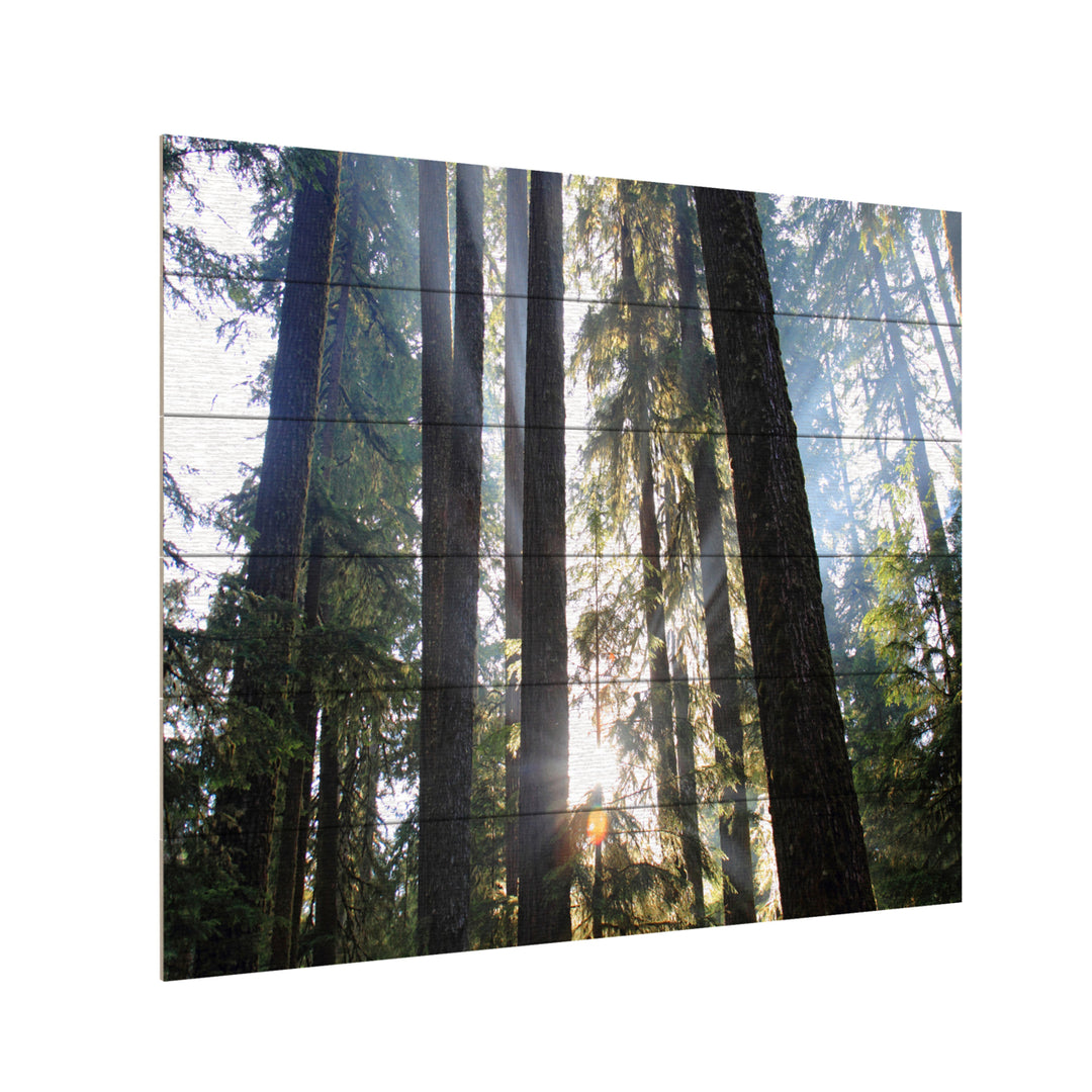 Wooden Slat Art 18 x 22 Inches Titled Sunrays Ready to Hang Picture Image 3