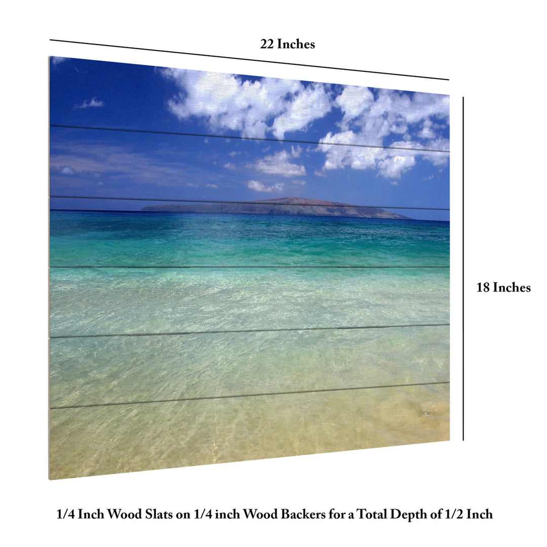 Wooden Slat Art 18 x 22 Inches Titled Hawaii Blue Beach Ready to Hang Picture Image 6