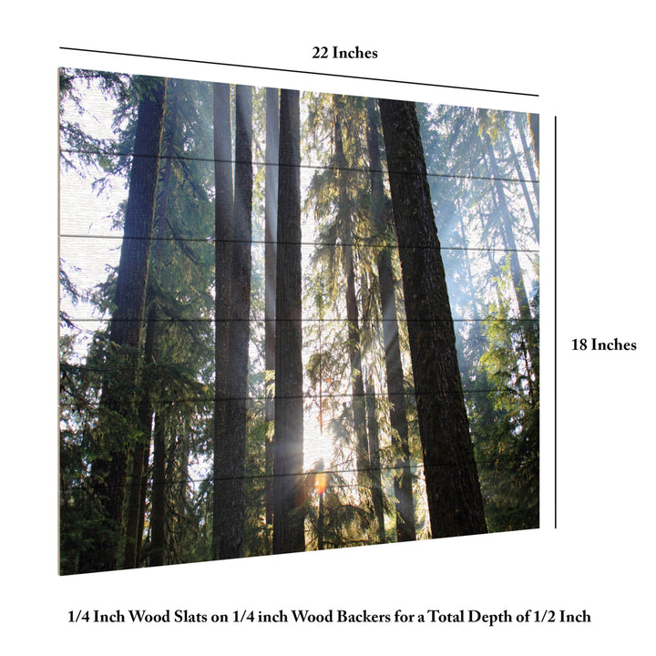 Wooden Slat Art 18 x 22 Inches Titled Sunrays Ready to Hang Picture Image 6