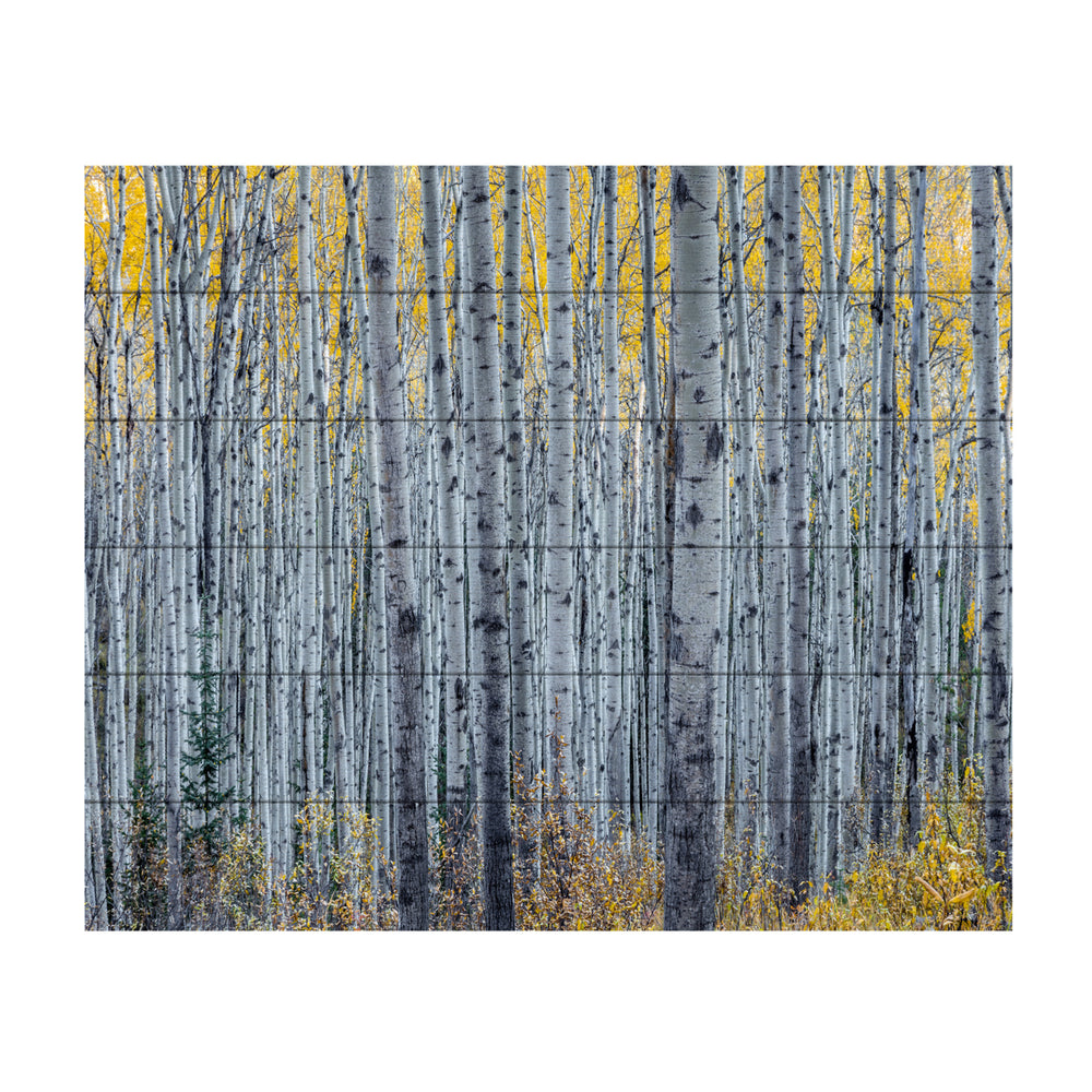 Wooden Slat Art 18 x 22 Inches Titled Forest of Aspen Trees Ready to Hang Picture Image 2