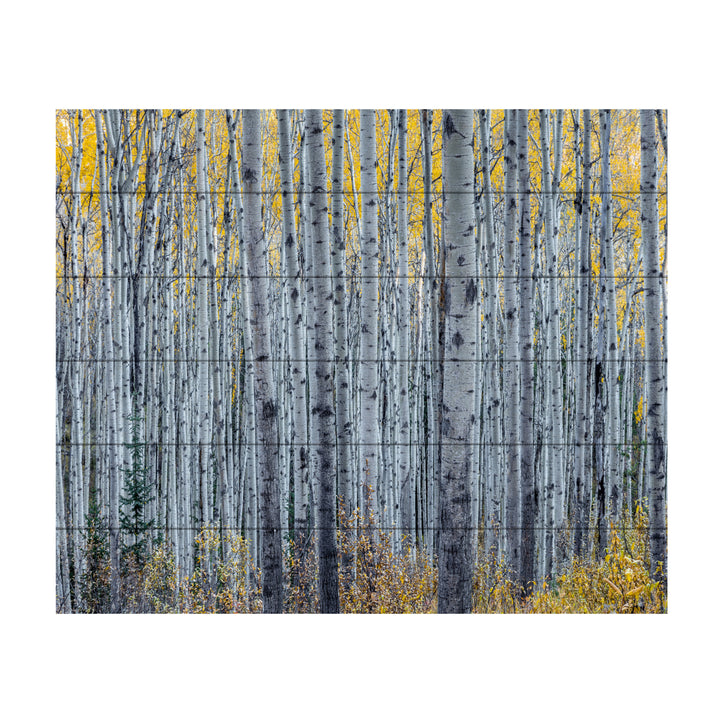 Wooden Slat Art 18 x 22 Inches Titled Forest of Aspen Trees Ready to Hang Picture Image 2